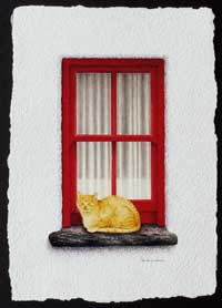 A Cat's Life